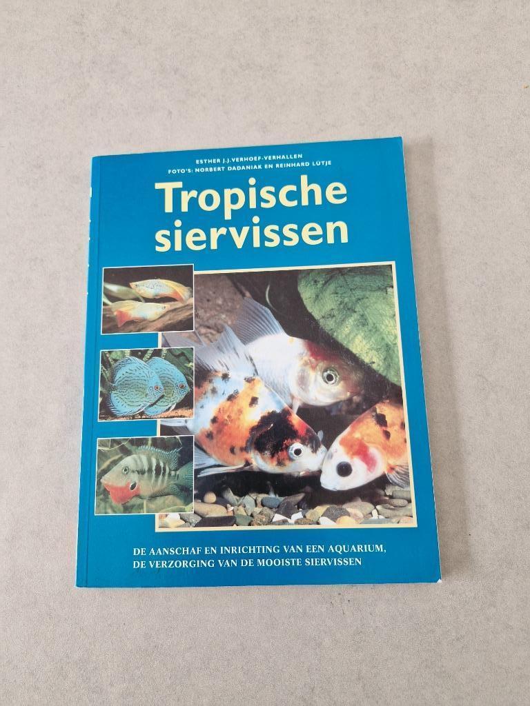 Tropische siervissen - Esther J.J. Verhoef - Verhallen, Boeken, Dieren en Huisdieren, Vissen, Verzenden