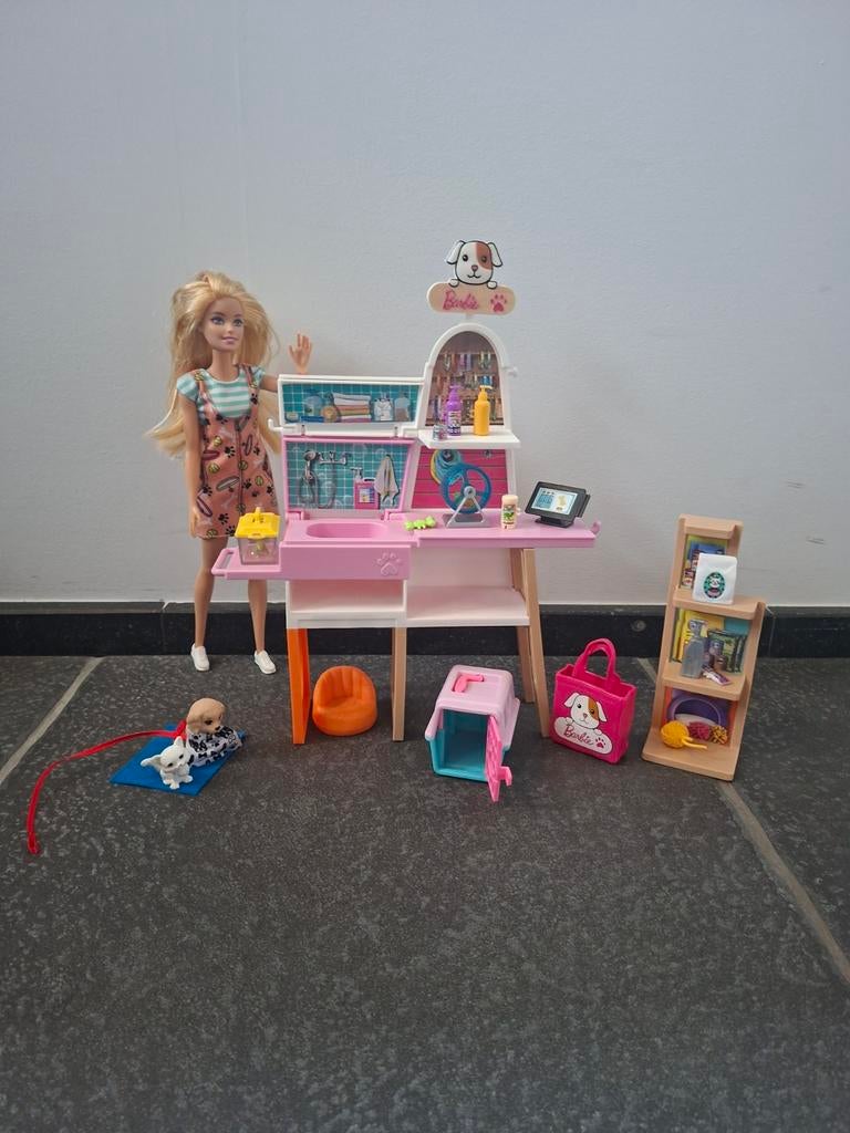 Barbie dierenarts, Enlèvement, Accessoires