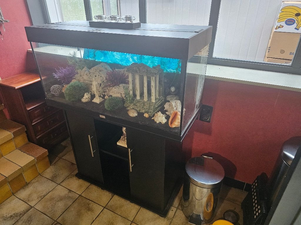 Aquarium, Enlèvement, Utilisé, Meuble d'aquarium