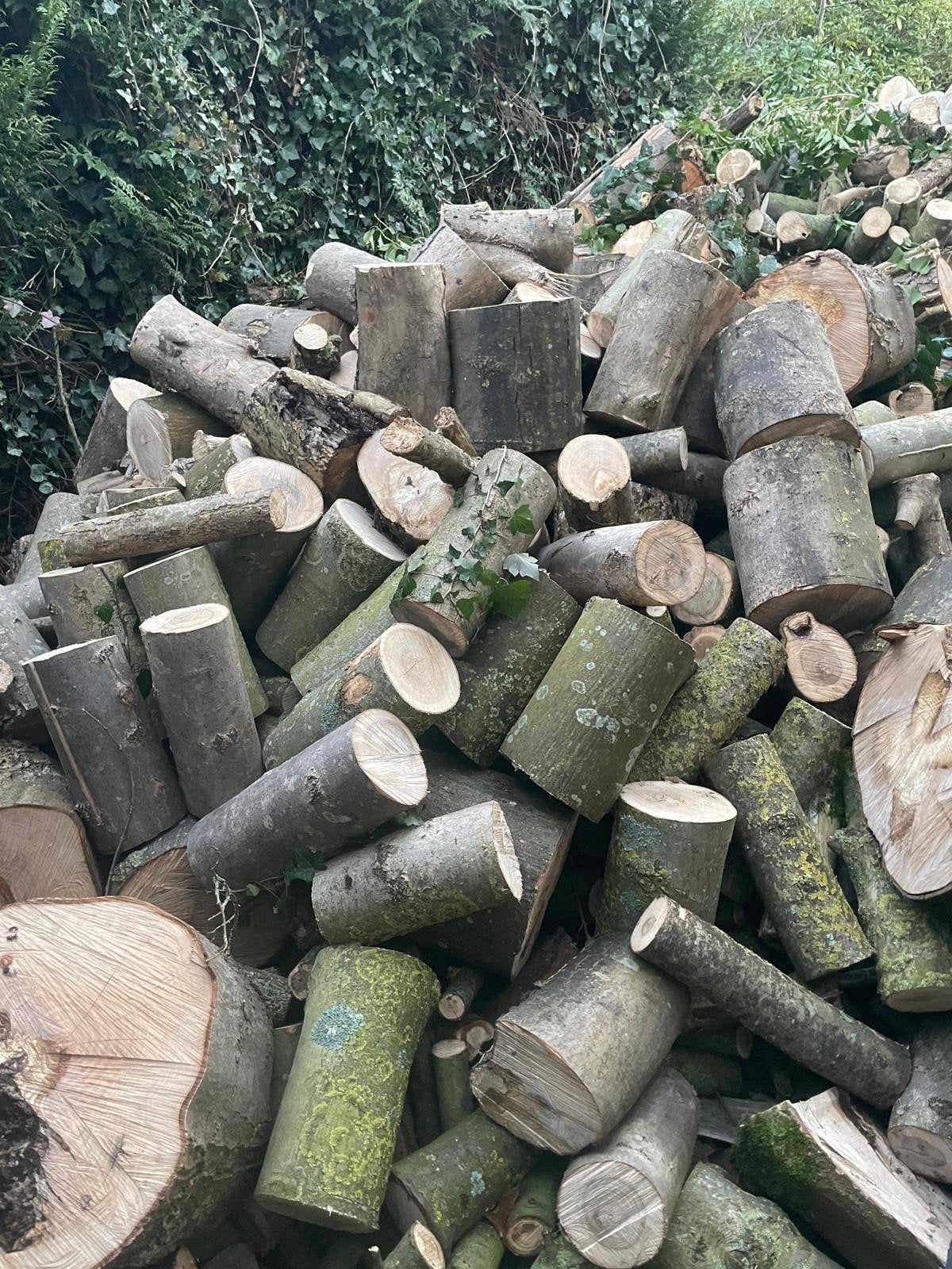 Brandhout te koop, Tuin en Terras, Ophalen