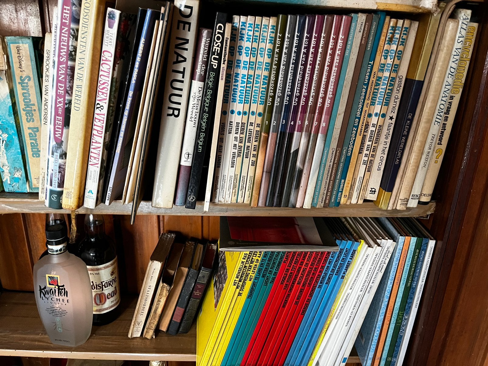 Lot boeken, Ophalen, Gelezen