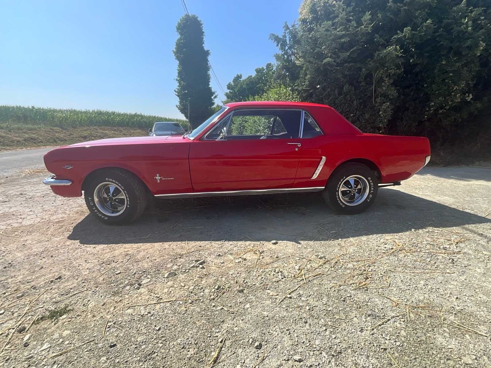 1965 Ford Mustang Coupé Voiture, Achat, Entreprise, Autre carrosserie, Automatique