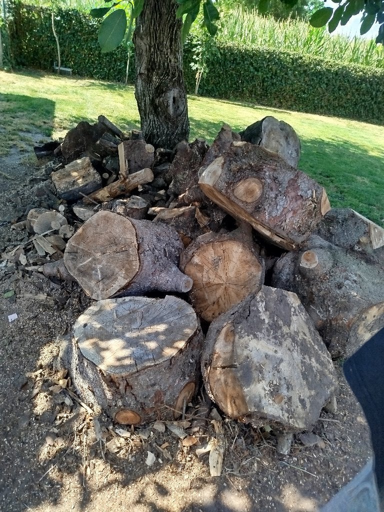 Brand hout, Tuin en Terras, Brandhout, Minder dan 3 m³, Ophalen, Overige houtsoorten, Stammen