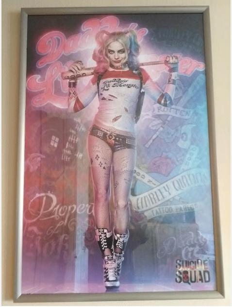 DC Posters - Harley Quinn (Framed / Unframed) (Nieuwstaat), Enlèvement, Neuf