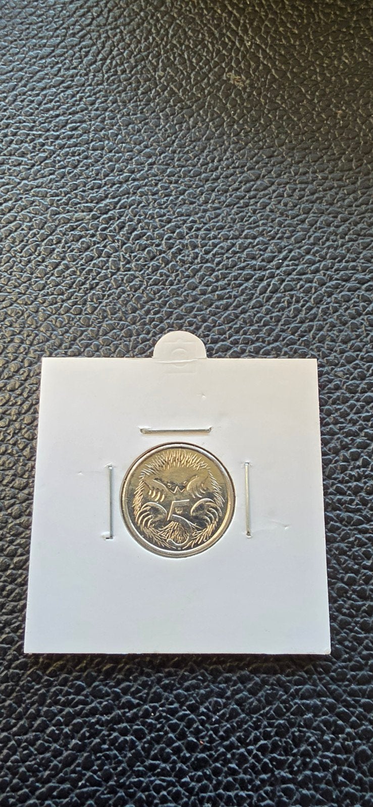 Australië 5 cent 2024, Postzegels en Munten, Munten | Oceanië, Ophalen of Verzenden