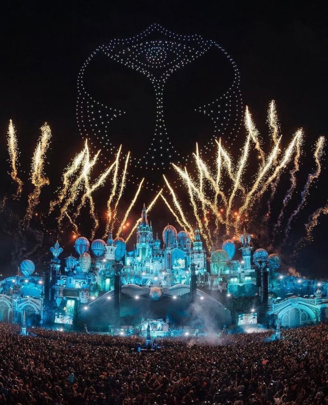 1 ticket tommorowland zaterdag W2, Tickets en Kaartjes, Eén persoon