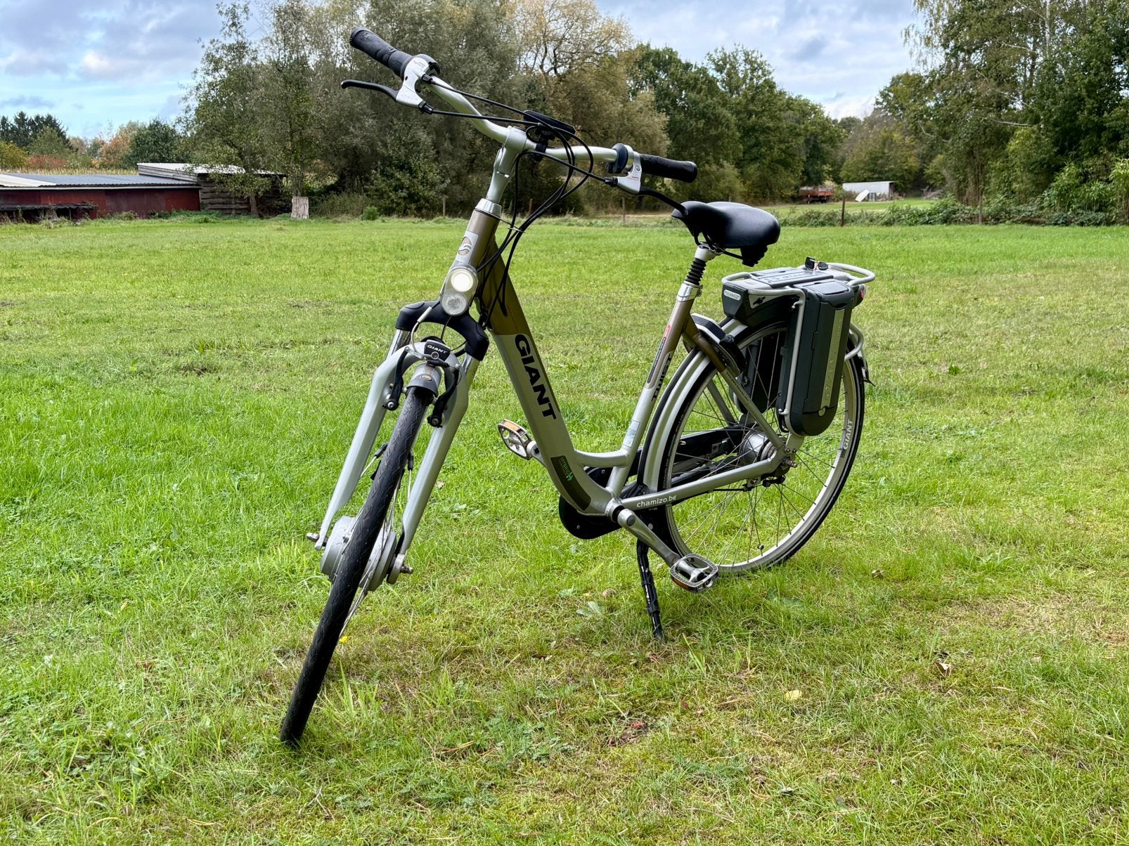 E-Bike, elektrische fiets GIANT TWIST GO DOUBLE, Ophalen, Gebruikt