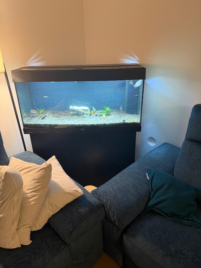 Aquarium Juwel 180L avec meuble, Dieren en Toebehoren, Vissen | Aquaria en Toebehoren, Zo goed als nieuw, Gevuld zoetwateraquarium