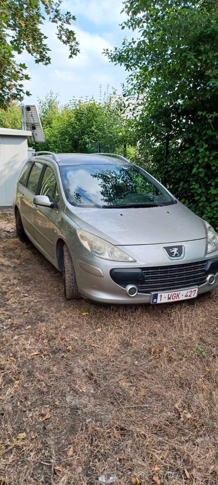 Peugeot 307, Auto's, Peugeot, Particulier, Te koop