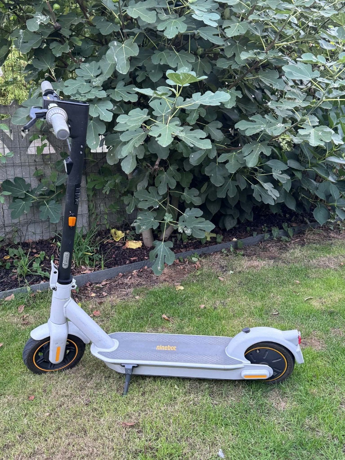 Segway Ninebot G30LE II, Ophalen