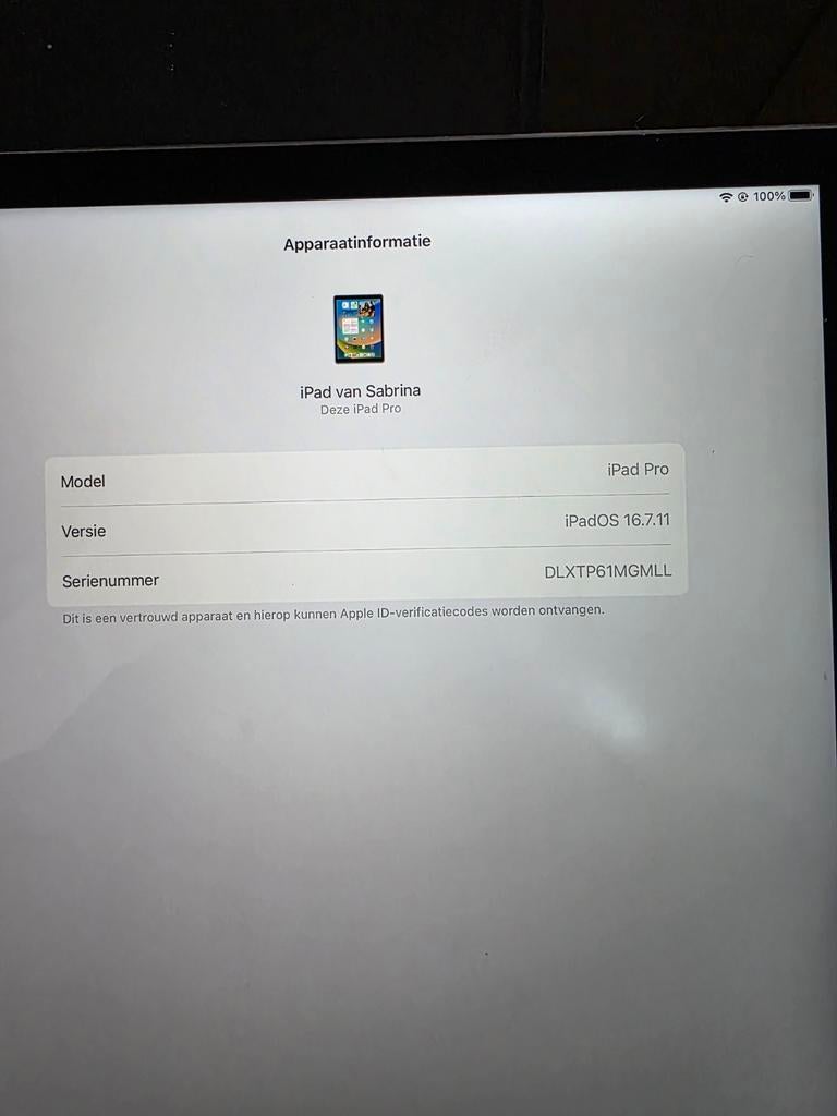 Ipad prob12,9 inch, Ophalen, 9 inch