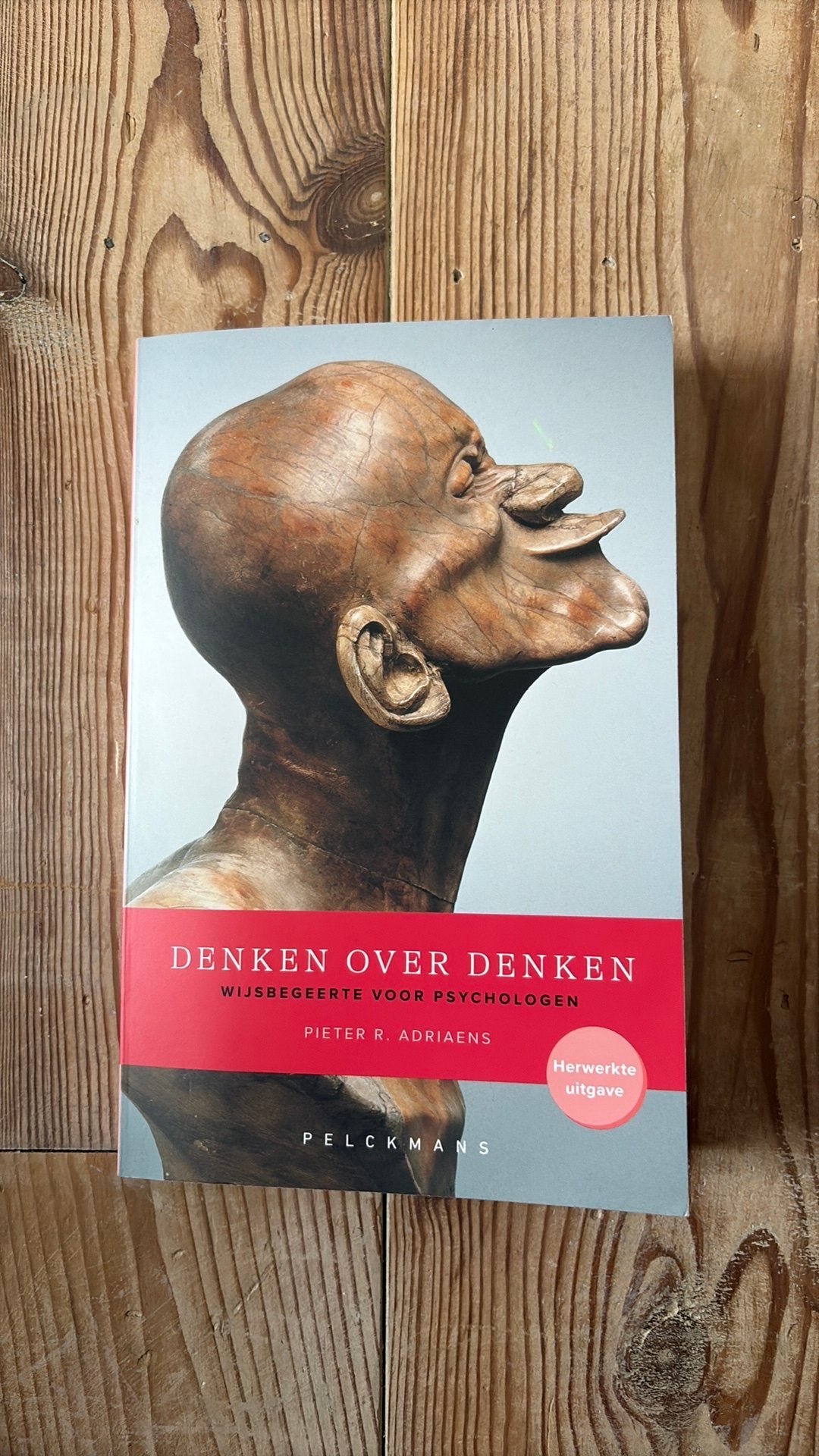 Denken over denken – Pieter R. Adriaens – UGent Psychologie, Ophalen, Zo goed als nieuw