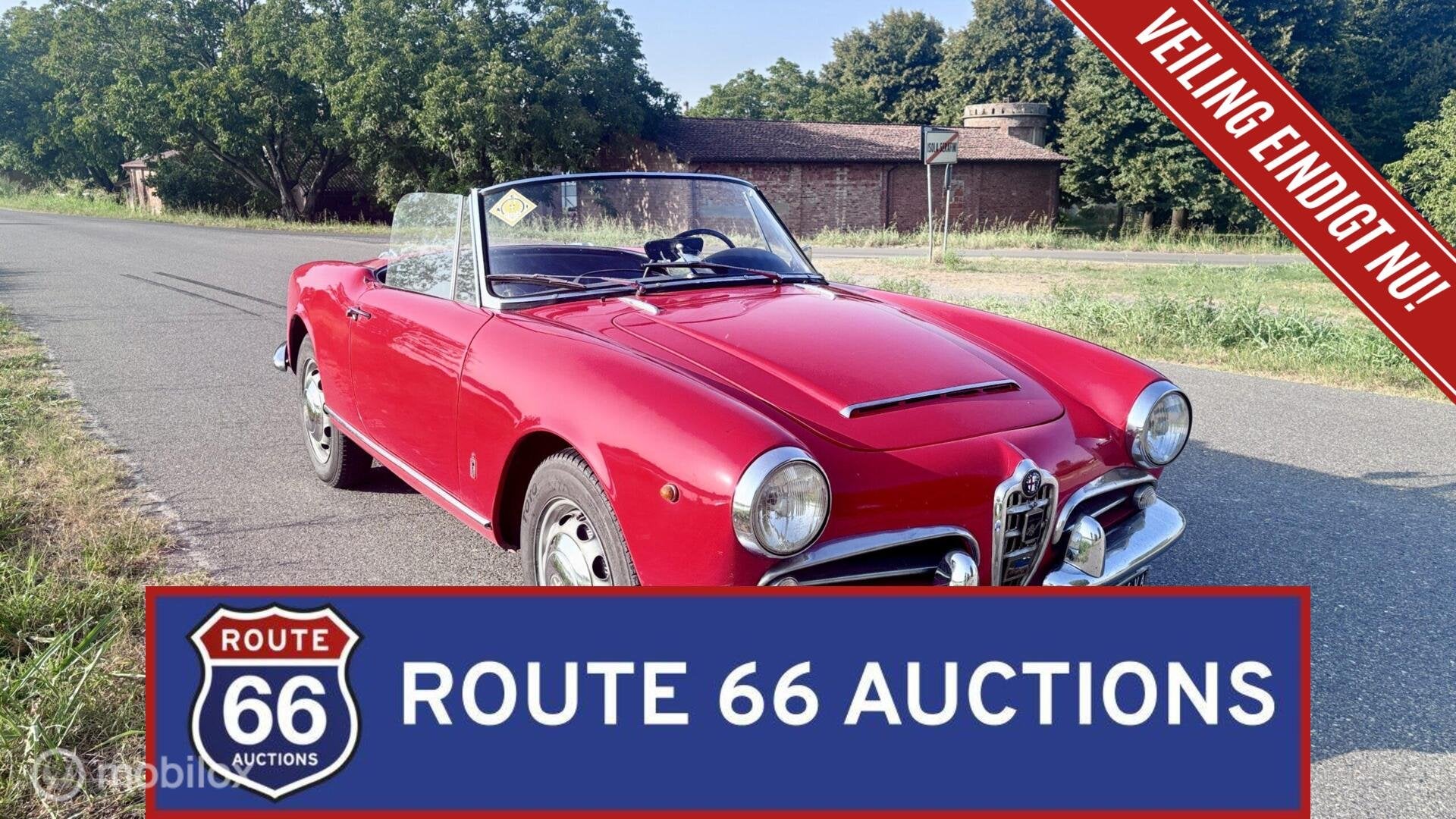 Alfa Romeo Giulia Spider | 1962 | Route 66 Auctions, Auto's, Zwart, Bedrijf, Handgeschakeld, Overige carrosserie