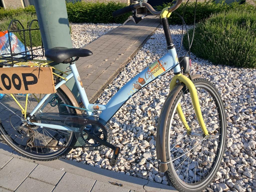 Meisjesfiets, Fietsen en Brommers, Fietsen | Meisjes, Ophalen
