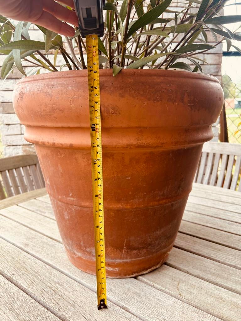 Terracotta bloempot vorstvrij 41x39cm met oleander, Tuin en Terras, Ophalen, Gebruikt, Terracotta