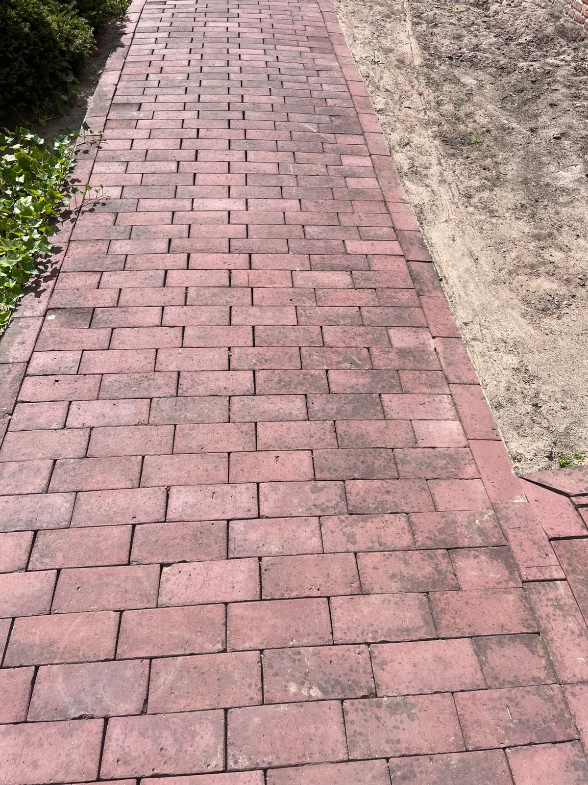 Pavés de jardin bordeaux gratuits +-75vkt mtr, Enlèvement, Utilisé, Autres matériaux, Briques
