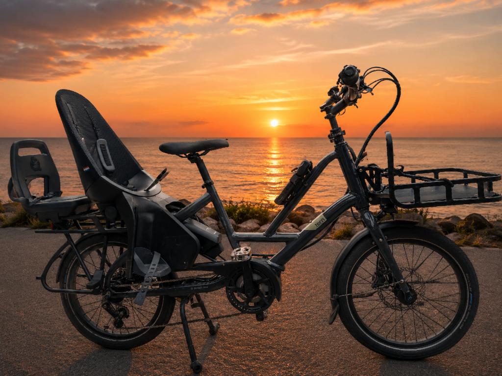 Velo TERN, Autres marques, 50 km par batterie ou plus, Comme neuf, 59 cm ou plus
