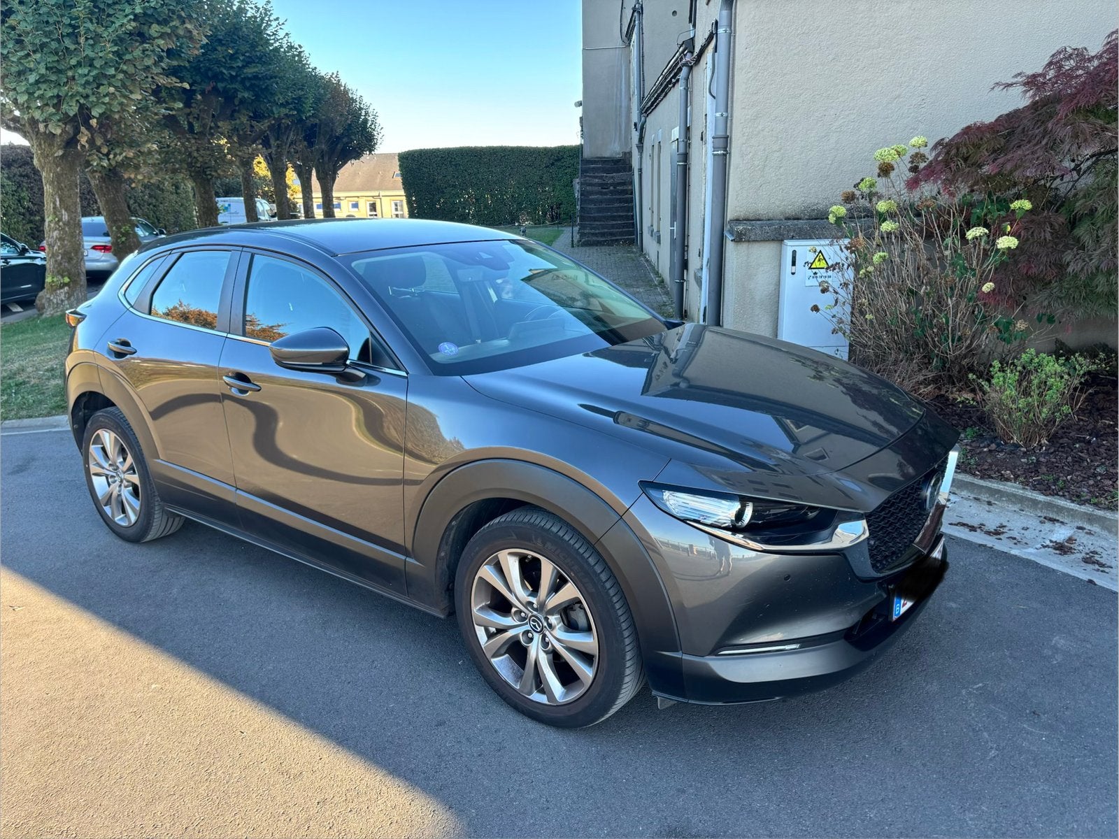 MAZDA CX-30 2.0-G SKYDRIVE LUXURY, Autos, Achat, Euro 6, Carnet d'entretien, 5 portes