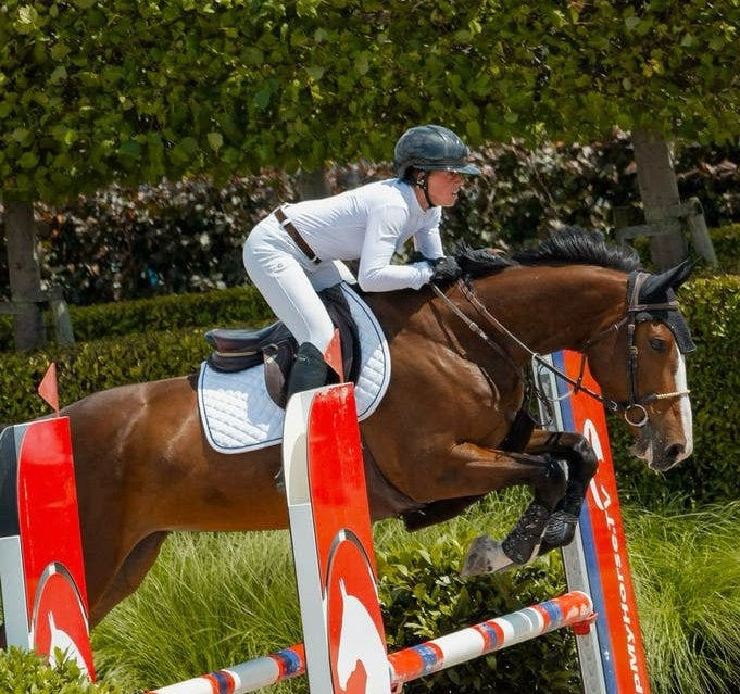 Belle et talentueuse jument de 4 ans, B, Avec pedigree, 160 à 165 cm, Cheval de saut