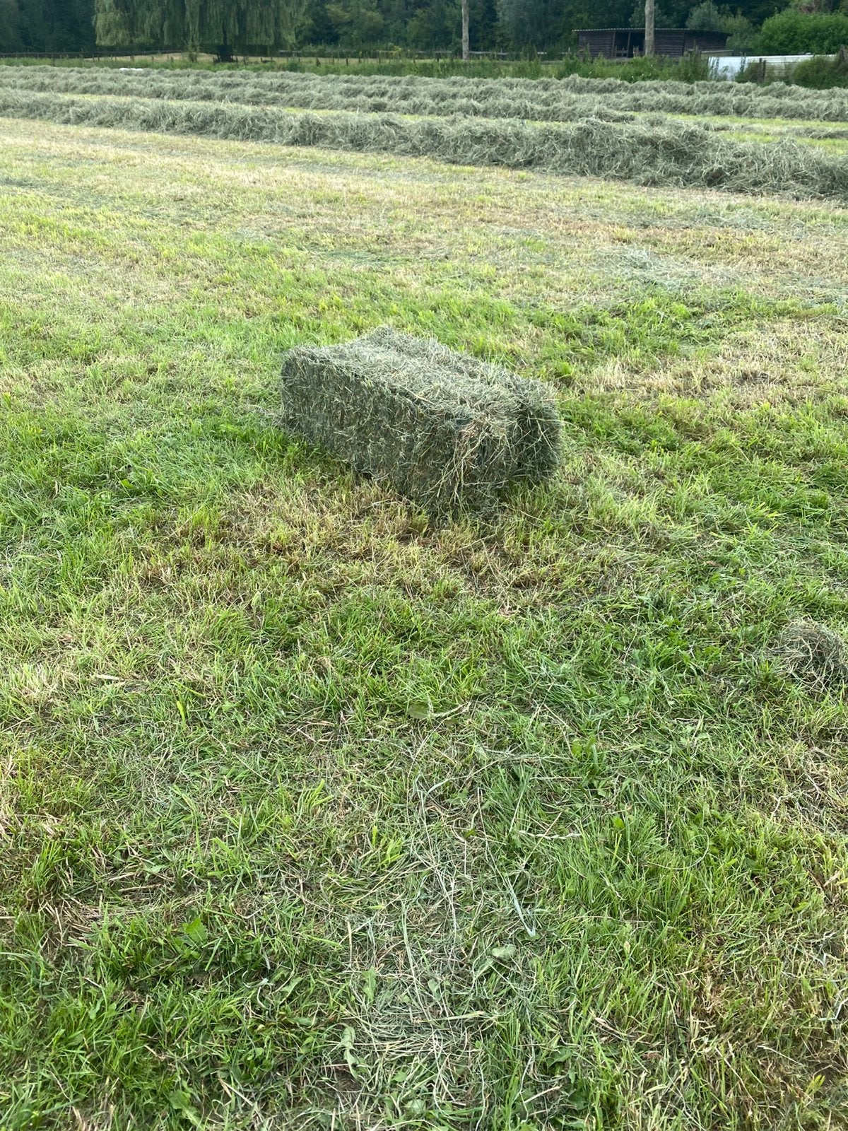 Voordroog
