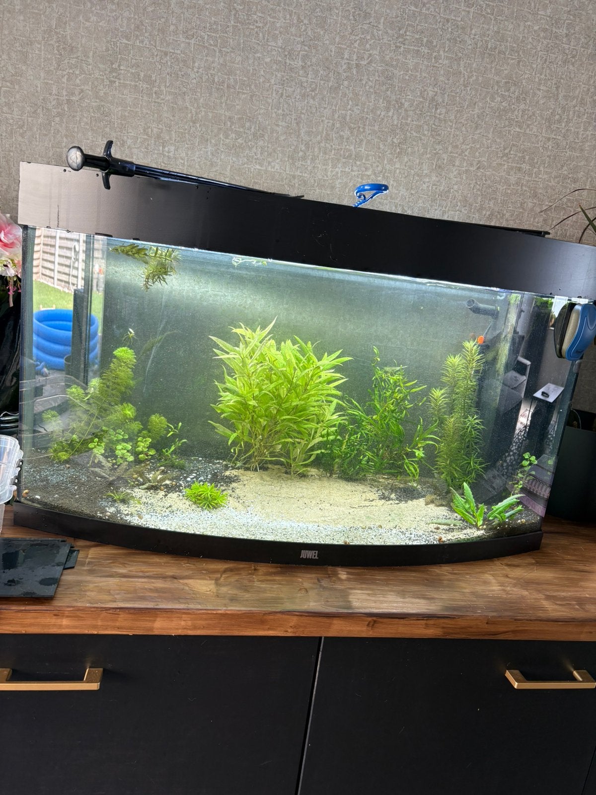 Aquarium vision 180l te koop, Ophalen, Verwarming, Zo goed als nieuw, Filter
