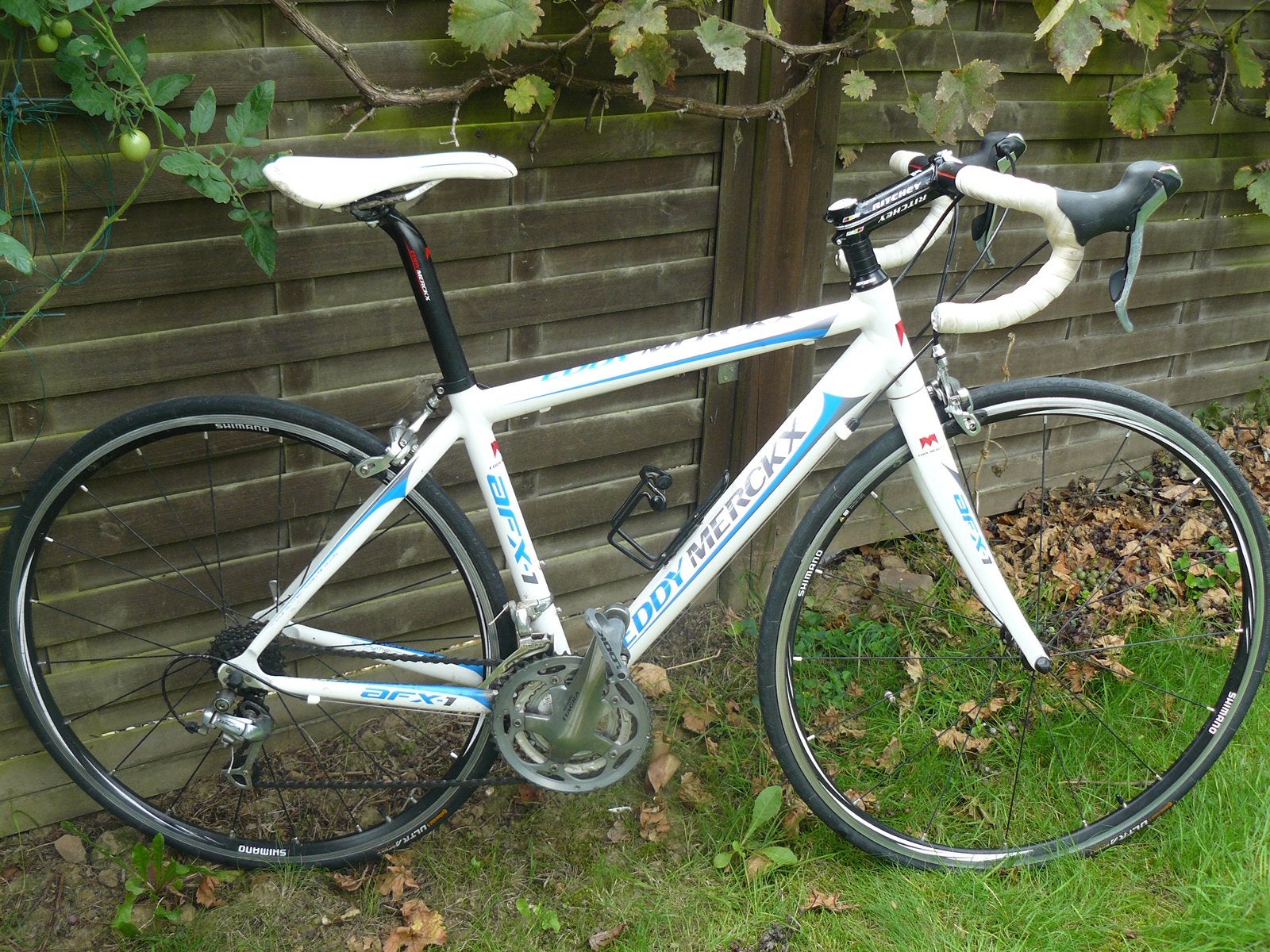 Eddy Merckx AFX-1 Dames Racefiets – Maat XS, Fietsen en Brommers, 28 inch, Gebruikt, Velgrem, Aluminium