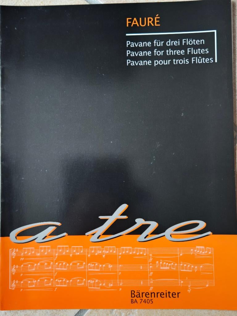 Bladmuziek 3 fluiten of meer. 6 boeken, Musique & Instruments, Partitions, Comme neuf, Autres genres, Piano, Flûte à bec, Flûte traversière ou Piccolo