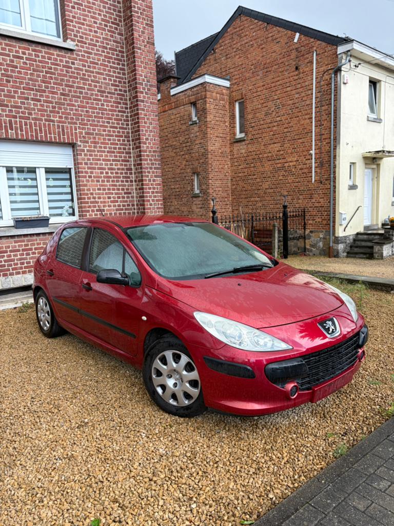 Peugeot 307, Auto's, Peugeot, Particulier, Te koop, Benzine