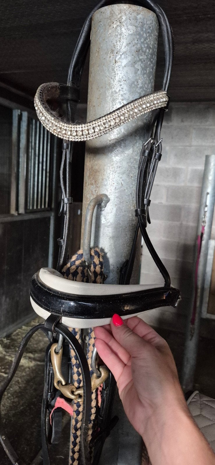 Hoofdstel crown, Dieren en Toebehoren, Ophalen, Hoofdstel