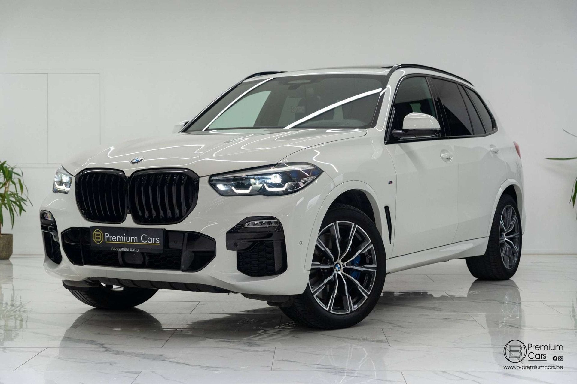 BMW X5 xDrive 30d M-pack! Sky lounge! Ultra full options!, Auto's, Automaat, Dealer onderhouden, Gebruikt, 2993 cc