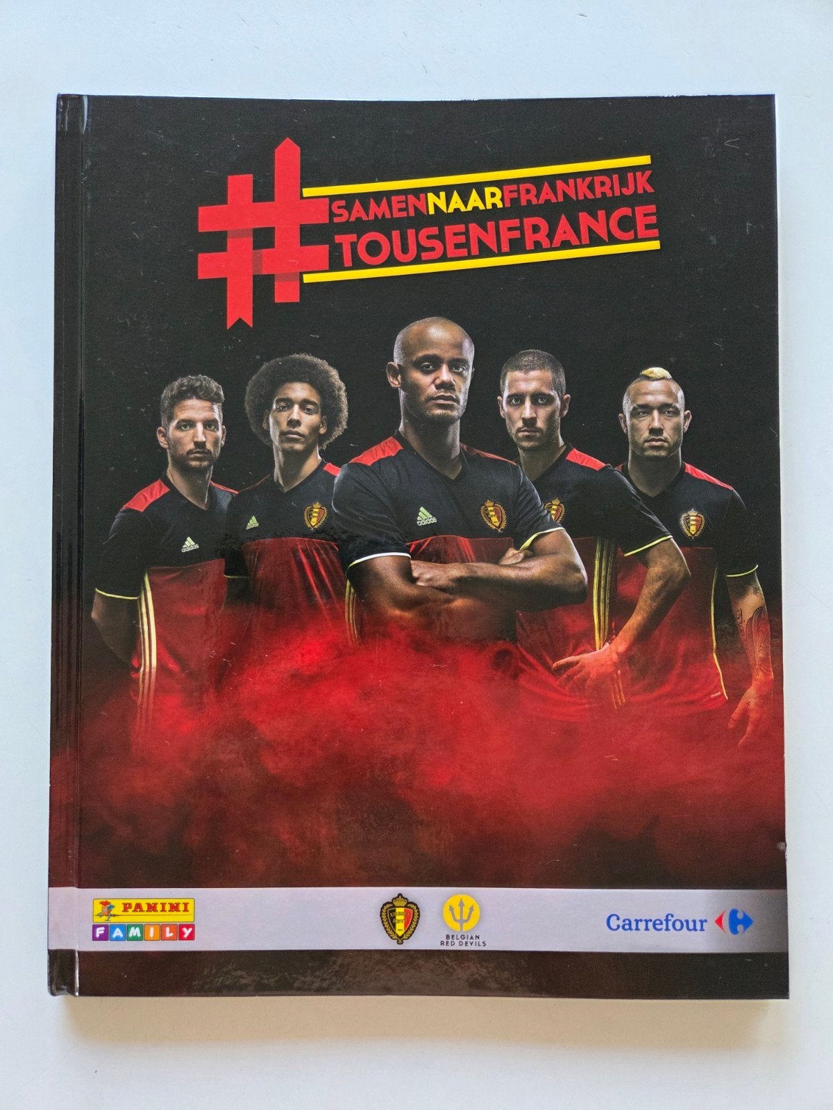 Panini Stickerboek, Verzamelen, Ophalen of Verzenden, Zo goed als nieuw