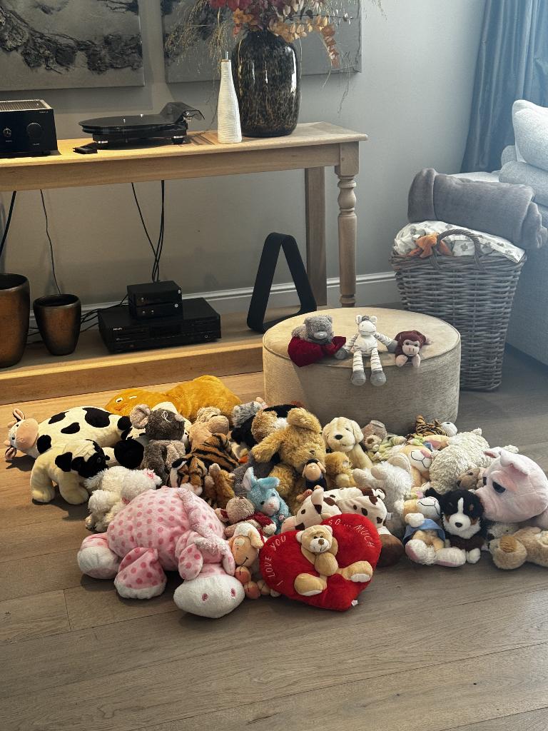 Grote verzameling knuffels – 50 stuks waaronder Dimpel, Ophalen, Overige merken, Overige karakters, Zo goed als nieuw