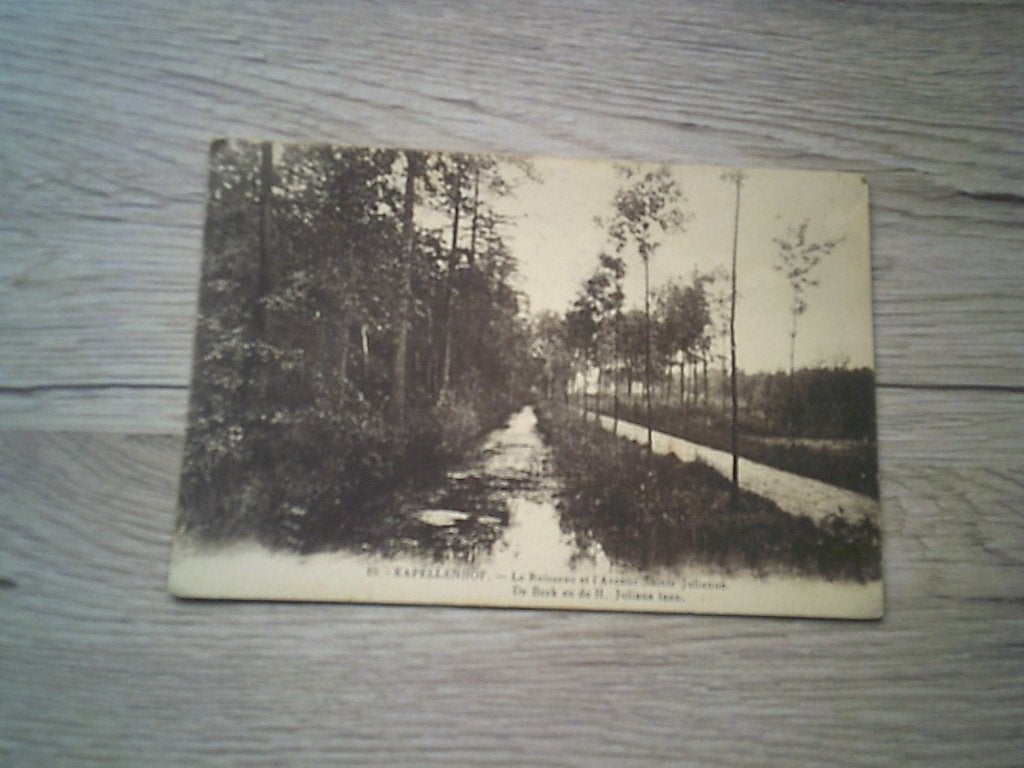 KAPELLEN - KAPPENHOF: N 10 - De Beek en de H. Juliana laan, Ophalen of Verzenden, Voor 1920, Gelopen, Antwerpen