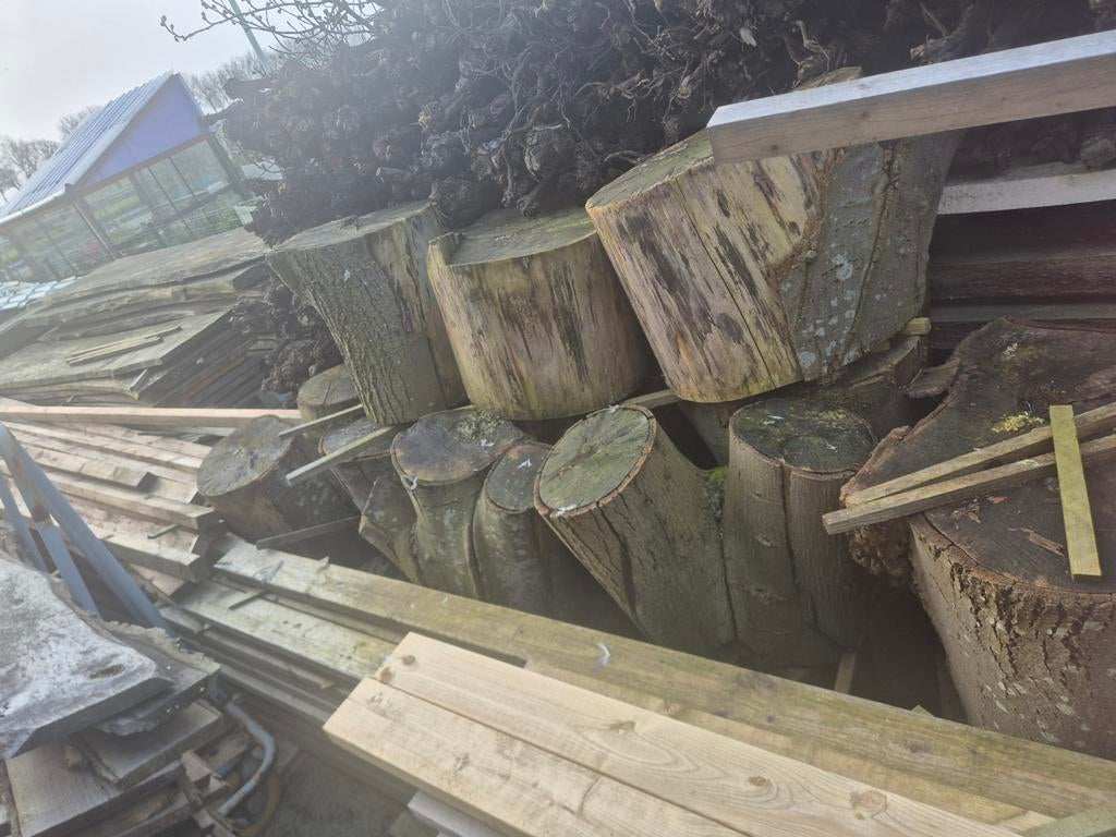 blokken linde, Tuin en Terras, Brandhout, Ophalen, Blokken