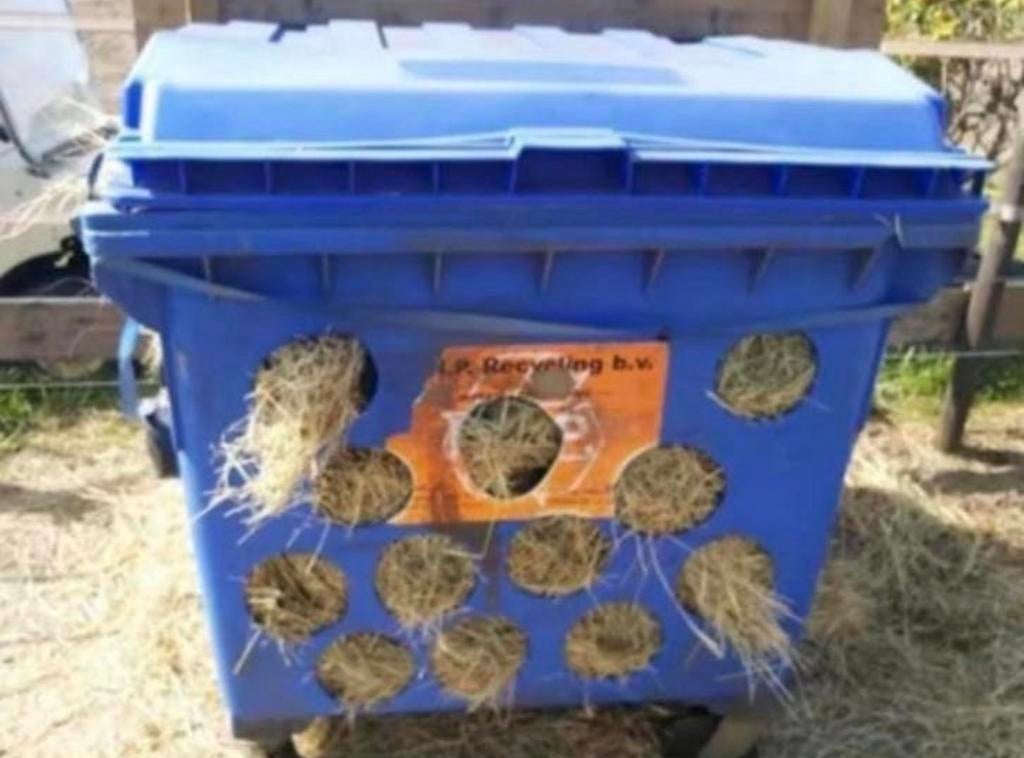 Hooiruif, Dieren en Toebehoren, Ophalen
