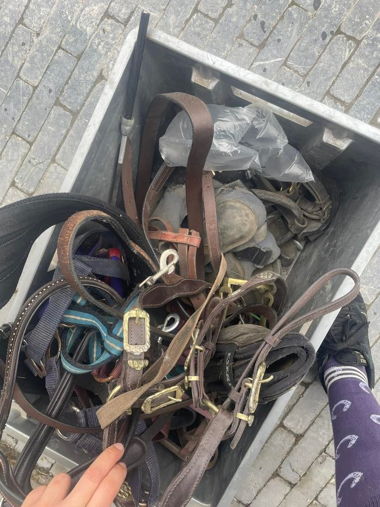 Bak met verschillende paarden spullen, Enlèvement, Utilisé, Autres espèces