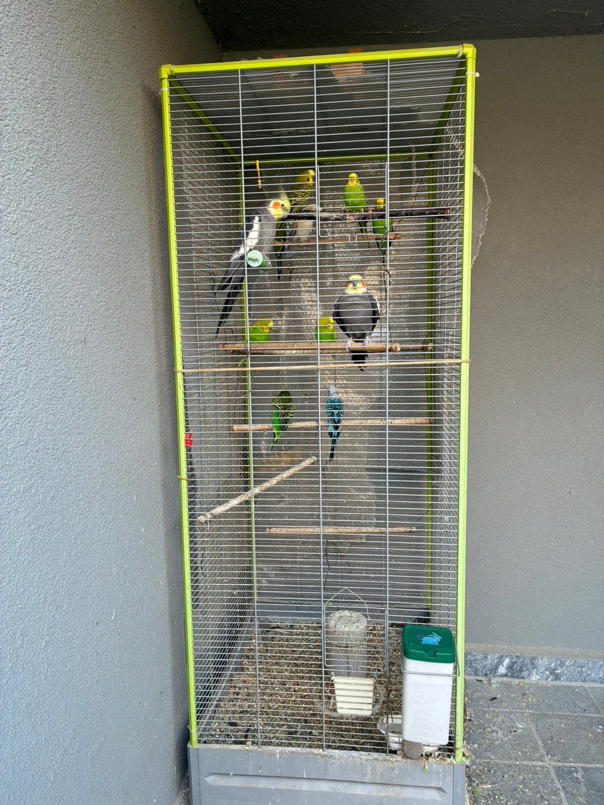Perruche et volière, Animaux & Accessoires, Oiseaux | Cages & Volières, Utilisé, Volière, Métal, Enlèvement