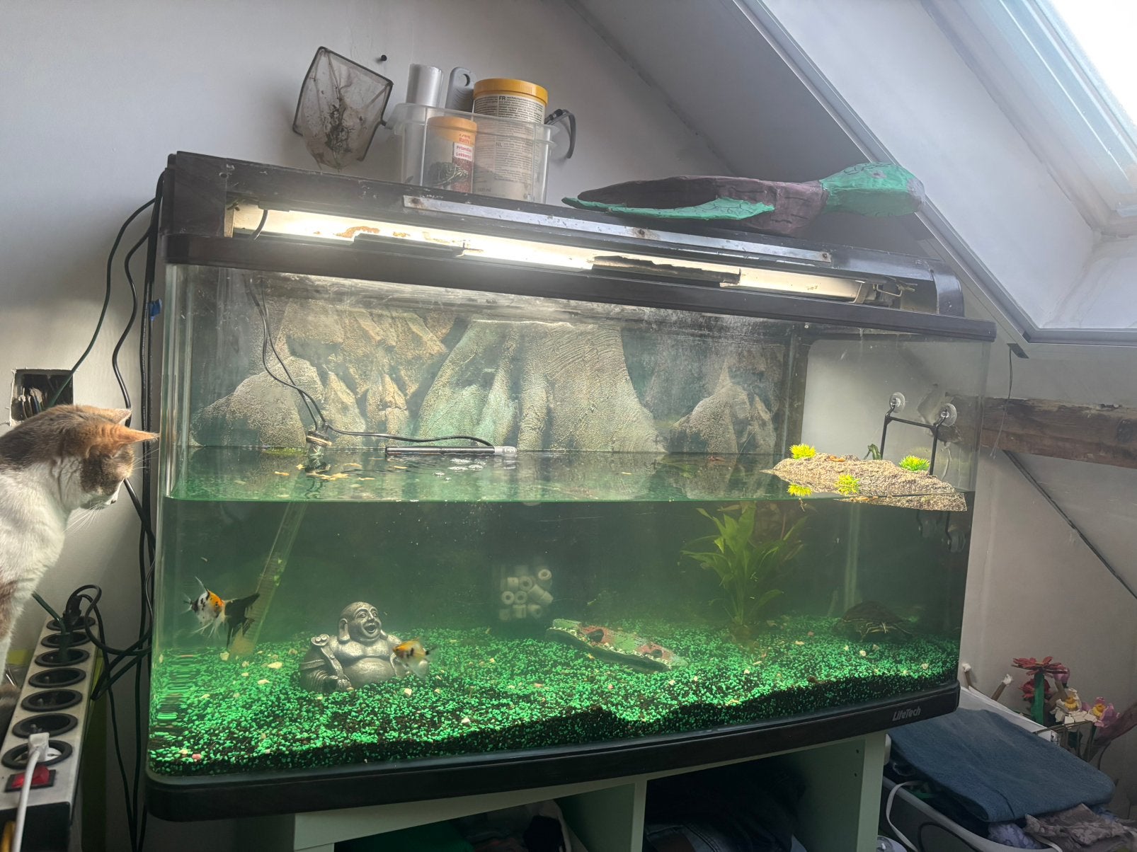 Groot aquarium met 2 schildpadden en decoratie, Animaux & Accessoires, Reptiles & Amphibiens | Accessoires, Enlèvement, Utilisé