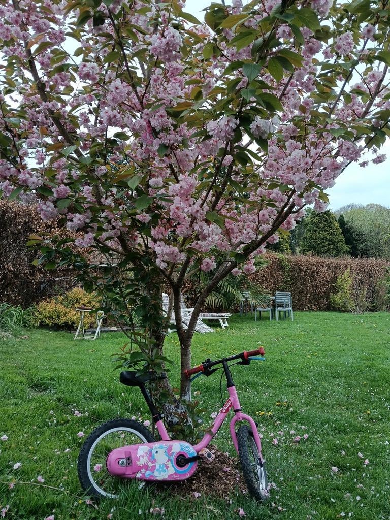 Vélo enfant b'twin 14 pouces, Enlèvement