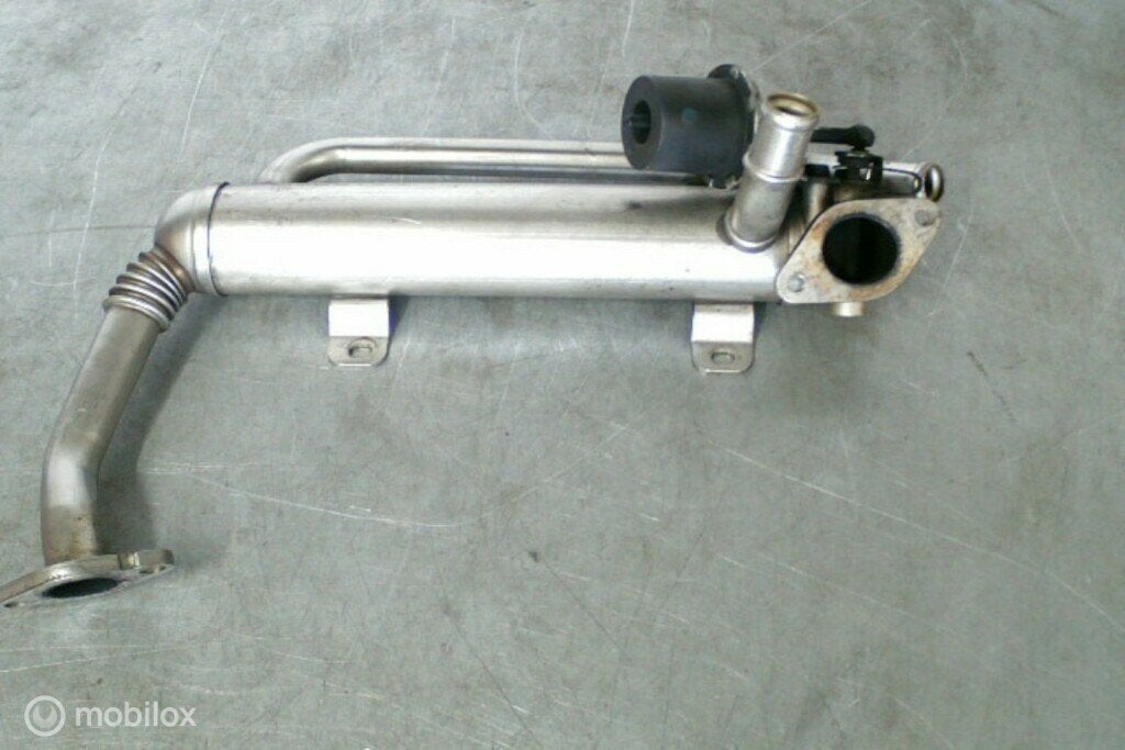 EGR-koeler ​​03G131512AD​ 1.9TDI BLS VAG, Gebruikt, Volkswagen, Ophalen of Verzenden, Volkswagen