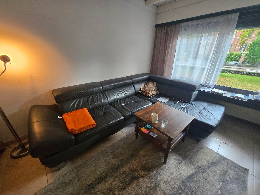 Hoeksalon - leer, Ophalen, Gebruikt, Leer, Modern