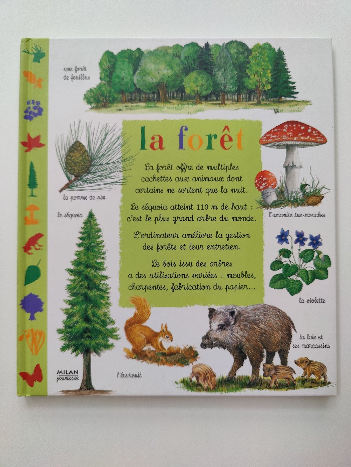 Deux livres informatifs sur la forêt et la ferme, Enlèvement, Comme neuf