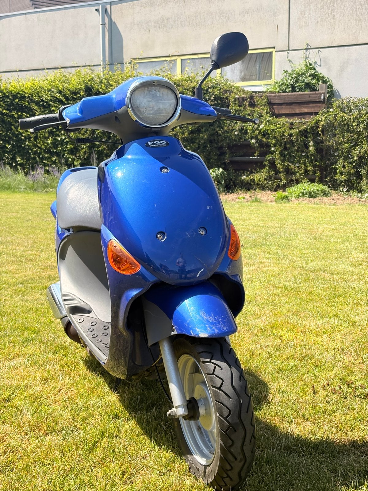 Pgo tekoop, Motoren, 50 cc