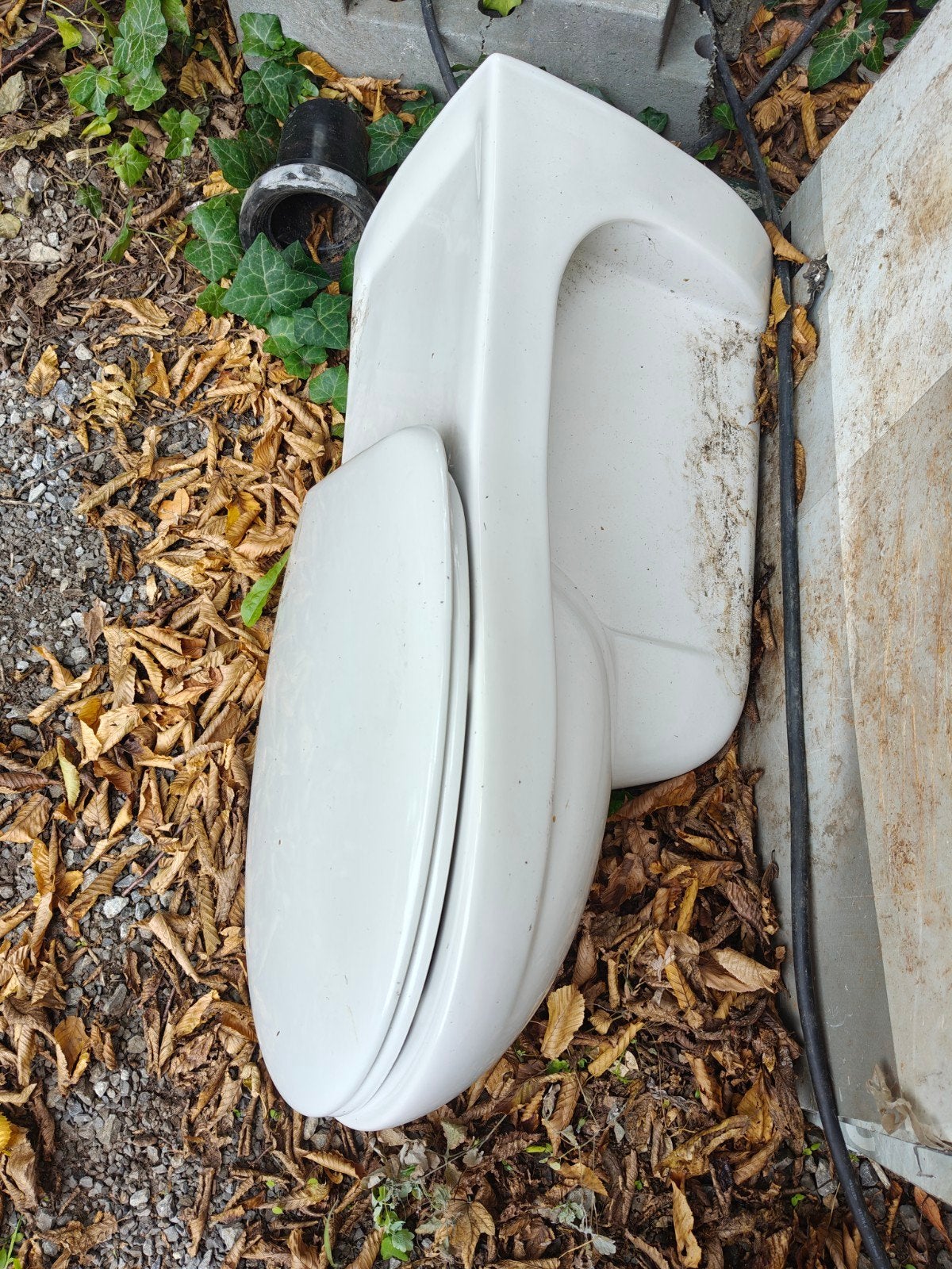 Mindervaliden toilet, Bricolage & Construction, Sanitaire, Enlèvement, Comme neuf, Toilettes