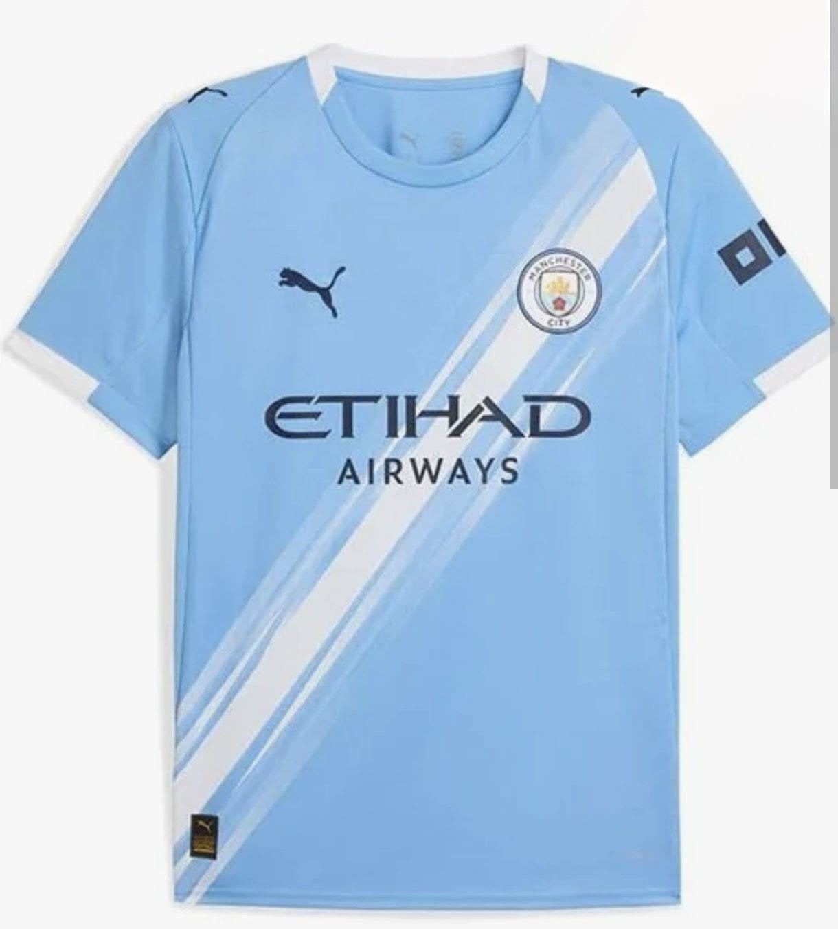 Shirt van Manchester City, Sport en Fitness, Voetbal, Maat L, Ophalen of Verzenden, Nieuw, Shirt
