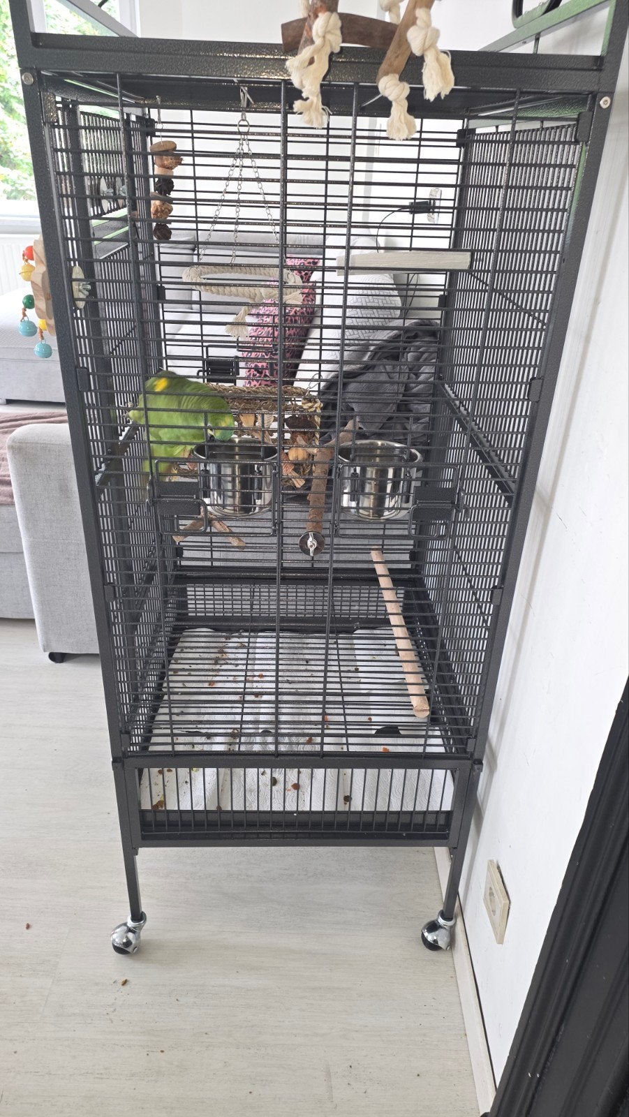 cage perroquet nouvelle facture a l'appui, Animaux & Accessoires, Enlèvement
