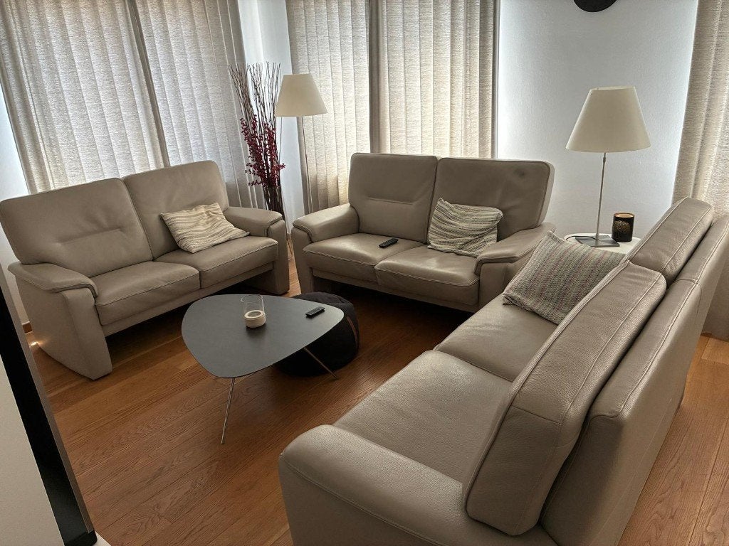 Lederen salon, Ophalen, Gebruikt, Leer