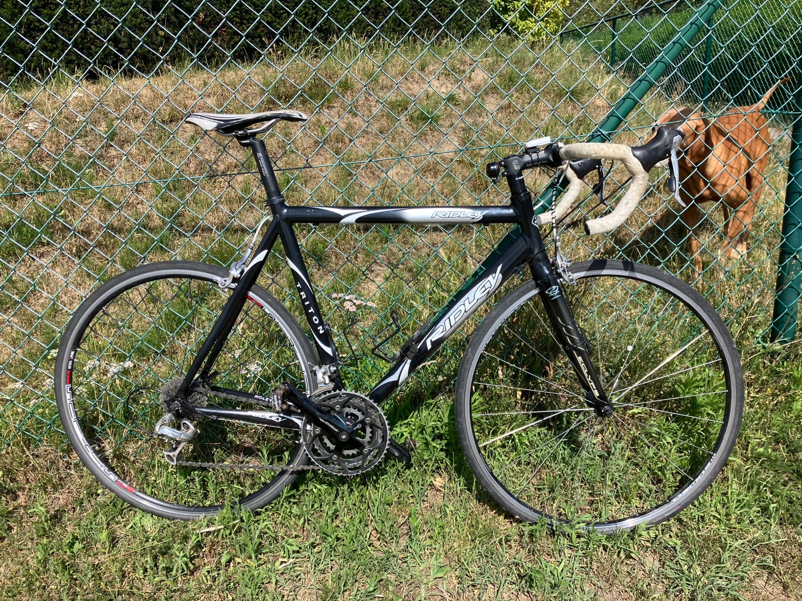Ridley Triton, Frein sur jante, Aluminium, 57 à 61 cm, Enlèvement