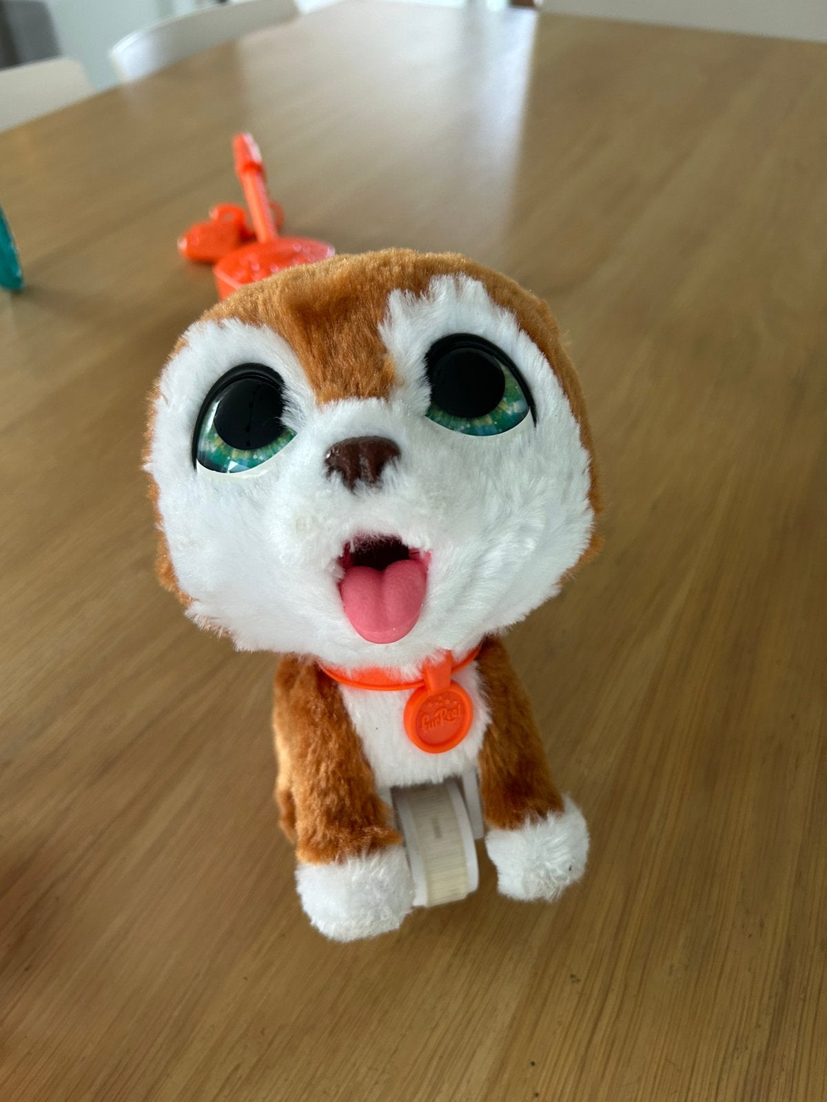 FurReal Friends (hond en kat), Kinderen en Baby's, Ophalen