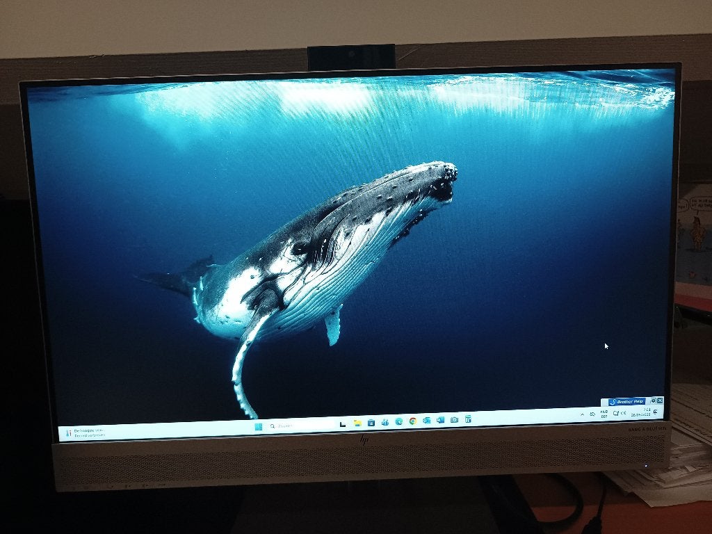 HP Elitedisplay 24” met webcam/micro/speakers, HD, IPS, In hoogte verstelbaar, Ophalen of Verzenden
